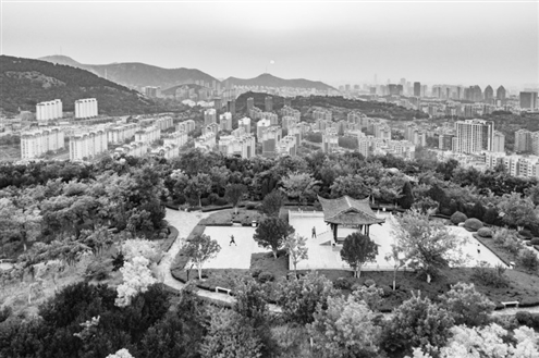 2024年济南将新建各类公园50处、古树保护园50处,开放共享绿地100处,图为济南牧牛山山体公园 济南市园林和林业绿化局供图